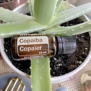 Copaiba Essential Oil 15mL - Brand New & Unopened